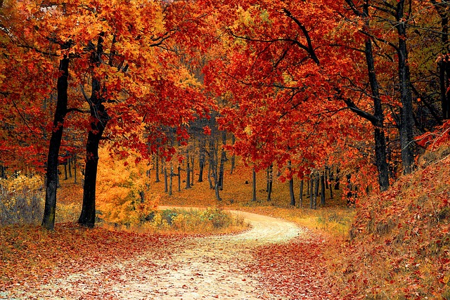 Canadian travel journal open with map and hiking trail notes